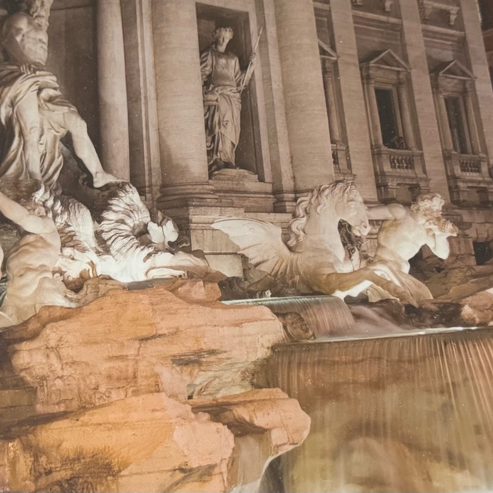 Trevi Fountain Photograph-custom framed.